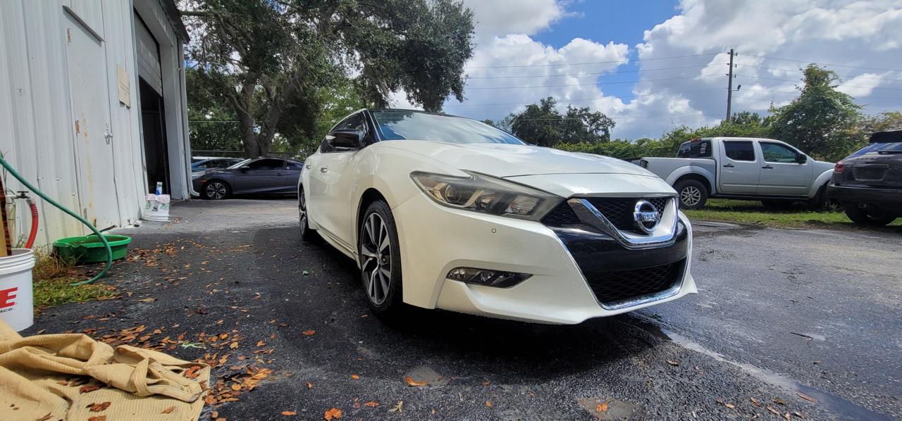 Nissan Maxima Platinum after collision repair - front view looking clean outside The Drip shop Leesburg